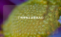 廣州考電工證報名入口