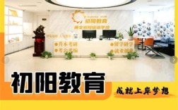 2025年湖北武漢專升本機構(gòu)大起底！上岸率TOP榜，助你輕松躍龍門