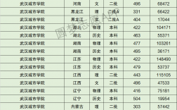 2024年武漢城市學(xué)院分數(shù)線