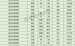 武漢東湖學院專科分數線