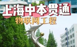 中本貫通上海有哪些學(xué)校(中本貫通屬于什么學(xué)歷)