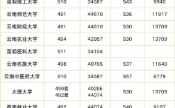 2024年哪個省的錄取分數線最低
