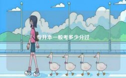 專升本一般需要考多少分