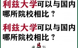 利茲大學(xué)相當(dāng)于國(guó)內(nèi)什么檔次？什么水平？