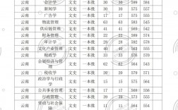 2024年云南財經大學藝術類錄取分數線