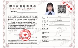 電子商務證書有啥用