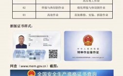 電工證查詢(電工證網官網入口)
