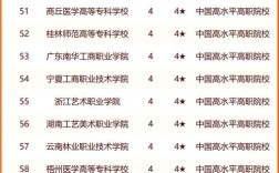 2024年職業(yè)技術學院排名前十