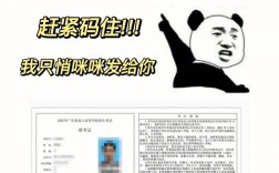 高考準考證電子版在哪查？具體步驟是什么？