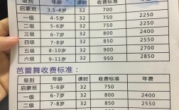 舞蹈藝考費用大概要多少錢