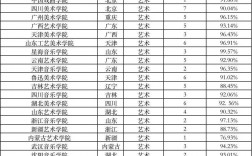 藝術生報考學校(藝考2024文化分要求)