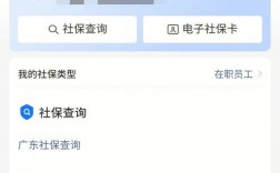 有社保記錄是應(yīng)屆畢業(yè)生嗎