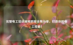 完整電工培訓視頻教程全集分享，打造你的電工技能！