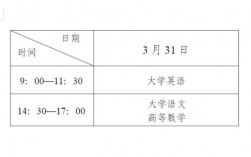 專升本考試時間