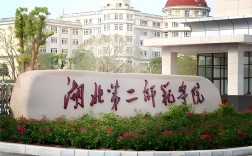 2025年湖北第二師范學(xué)院成人高考（函授）招生專業(yè)及報考要求是什么？——官方報考指南+官方入口