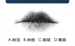 測試你適合學心理學嗎(心理測試一般測什么)