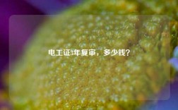 電工證3年復(fù)審，多少錢(qián)？
