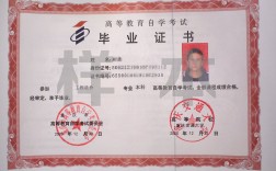 什么是自考本科