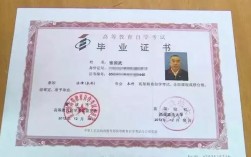 現在自學考什么證吃香(2024年什么證書含金量高)