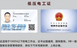 低壓電工證報名入口官網(個人怎么考電工證)