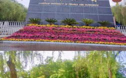 蘭州財經大學考研難嗎(蘭州財經大學官網入口)