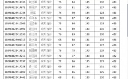 考研成績會顯示初試排名嗎