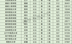 2024年西華大學全國排名