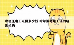 考低壓電工證要多少錢(qián) 哈爾濱考電工證的培訓(xùn)機(jī)構(gòu)