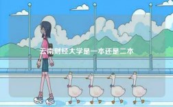 云南財經(jīng)大學(xué)是一本還是二本