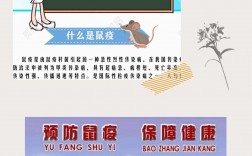 預防醫學是干什么的(預防醫學專業就業方向)
