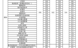 新鄉醫學院分數線