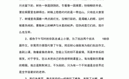 細(xì)節(jié)描寫的句子