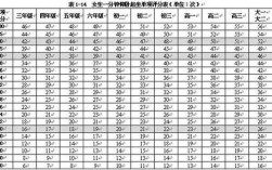 大學(xué)生仰臥起坐一分鐘做多少個(gè)合格