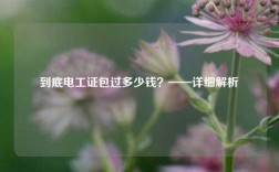到底電工證*過多少錢？——詳細解析