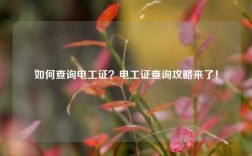 如何查詢電工證？電工證查詢攻略來了！