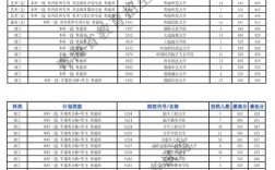 青海大學2024錄取分數線是多少？如何申請？