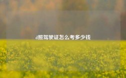 d照駕駛證怎么考多少錢