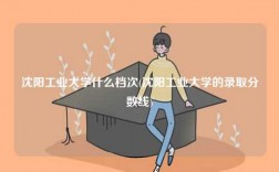 沈陽工業大學什么檔次(沈陽工業大學的錄取分數線)