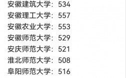 安徽大學(xué)美術(shù)生錄取分?jǐn)?shù)線2024