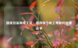 國家安監(jiān)局電工證：值得每個電工考取的資格證書
