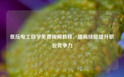 低壓電工自學免費視頻教程，提高技能提升職業競爭力
