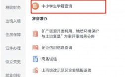 輸入身份證號查學籍號網站www.chsi.com.cn