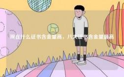 現在什么證書含金量高，八大證書含金量最高