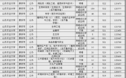 山東最低分的本科學(xué)校(山東最容易考研的大學(xué))