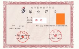 有哪些證書可以自考