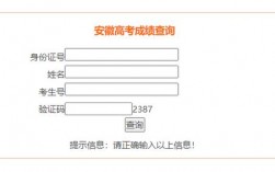 安徽招生考試成績查詢(安徽省招生考試信息網)
