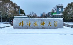 權威解讀！2025安徽自考護理學本科唯一報考院校：蚌埠醫科大學