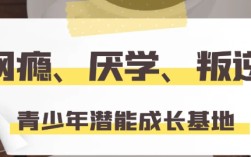 武漢市洪山區青少年全封閉管教學校-戒網癮！