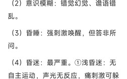 昏昏欲睡的意思