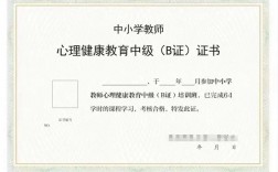 b證是什么證書